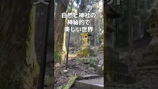 熊本阿蘇観光✨阿蘇山 /上色見熊野座神社/ リボンソフト/JALどこかにマイルで阿蘇くまもと空港✈️  #阿蘇  #熊本  #投資