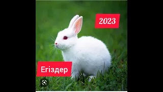 ЕГІЗДЕР- 2023 ЖЫЛҒА ЖҰЛДЫЗ-ЖОРАМАЛ.