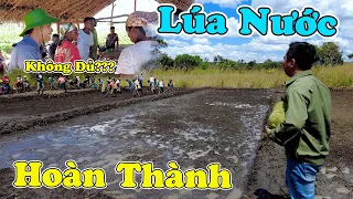 Đông Paulo || Hoàn Thành Cơ Bản Ruộng Lúa Nước Và Sự Cố Lúc Ăn Trưa