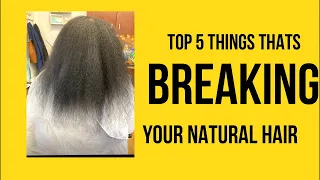 Top 5 Things That’s Breaking Your Natural Hair off! #naturalhair #breakage #hairtips
