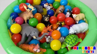Nombres de Animales 🐧🦁 Piscina con pelotas de colores 🎈Videos infantiles ✨ Mimonona Stories