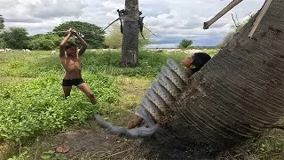 Terrifying ! Two Boys Catch Extremely Big Snake While Coming Back Net Fishing In Big Lake