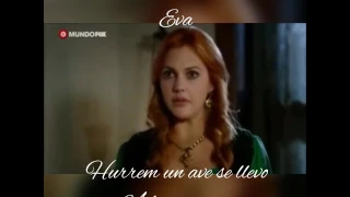 Hurrem un ave se llevó a la princesa 😎😎😎