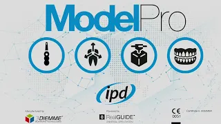 ModelPro istruzioni funzione Replace