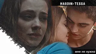 hardin/tessa●мне не нужна