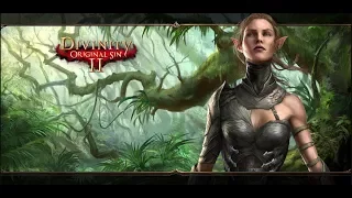 Divinity Original Sin 2 - Себилла