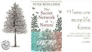 Introduction of The Secret Network of Nature by Peter Wohlleben