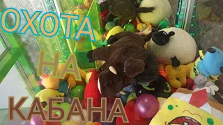 Играю в полусломанном аппарате. Огромный кабан в Хватайка