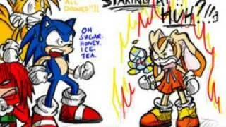 a stupid fast sonic pictures video