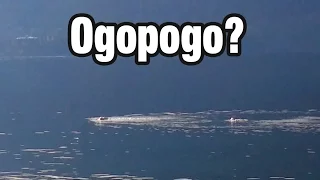 Ogopogo Proof? Lake Monster? You be the judge. - Okanagan Lake