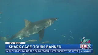Shark Cage Tours Banned