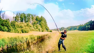 ÜBERRASCHUNG in kleinem Wiesenbach