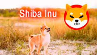 SHIBA INU! CЖИГАНИЕ 450-ТИ ТРИЛЛИОНОВ SHIB! КАК ЭТО ПОВЛИЯЛО НА ЦЕНУ! 3 ПРИЧИНЫ ПРОДАТЬ SHIB!