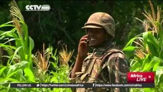 Kenya's army flushing militants from Boni Forest in Lamu