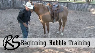 Hobble Training - Everyday Horsemanship