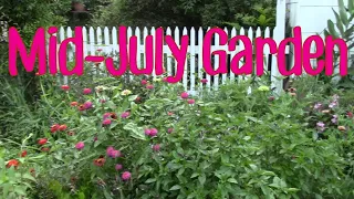 Gramma Rose's Garden Tour Mid July 2020