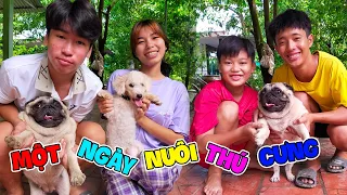 Ngáo TV / Thử Thách 24h Nuôi Thú Cưng Và Giới Thiệu Thành Viên Mới