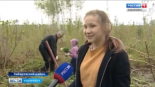 Вести-Хабаровск. День Леса