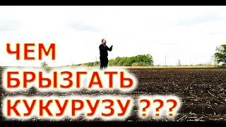 ВЫБИРАЕМ ГЕРБИЦИД на КУКУРУЗУ | #гербицидкукуруза #прима #милодардуо #елюміс