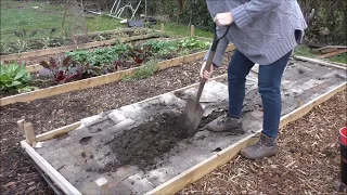 Jane's Allotment January 6th 2019