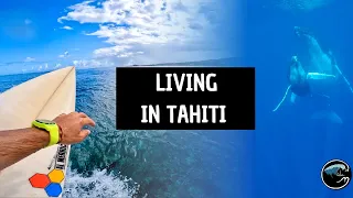 PARTIR VIVRE À TAHITI POUR LE SURF !