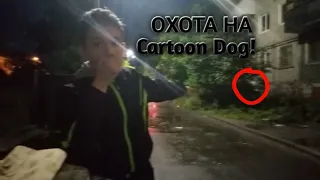 Охотимся на Cartoon Dog ночью