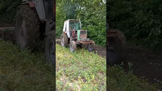 ПОПАЛИ НА ГРОШІ. ДИСКОВКА ГРЕЧКИ. ГРАД ПЕРЕБИВ СОЮ І ГРЕЧКУ. ЮМЗ-6 І ДИСКОВА БОРОНА БОМЕТ.