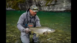 BIG BROWNS on small Flies - Fly fishing New Zealand.