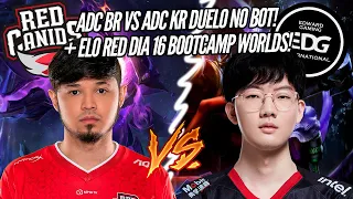 TITAN VS VIPER, DUELO PEGADO NO BOT! EDG VS RED CANIDS! BOOTCAMP WORLDS 2021