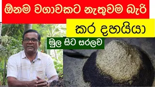 ගෙදරදිම කරදහයියා හදමුද? Karadahaiya | Ceylon Agri | Episode 111