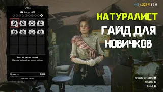 Red Dead Online гайд Натуралиста для новичков