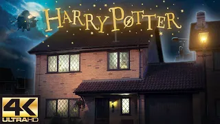 Privet drive Harry's Arrival [ASMR] Harry Potter Philosopher's Stone Ambience [4K] 🌙 Stars+Rain+Owls