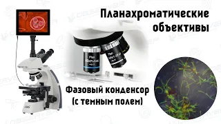Обзор: Mикроскопы Levenhuk MED 45 | Фазовый контраст. Темное и светлое поле!