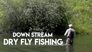 Dry Fly Fishing Down Stream | How To