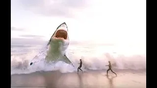 BIGGEST Sharks Ever!