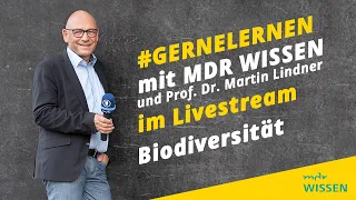 Biodiversität | #gernelernen mit MDR WISSEN | gernelernen mit MDR Wissen | MDR