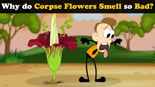 Why do Corpse flowers smell so Bad? + more videos | #aumsum #kids #science #education #children