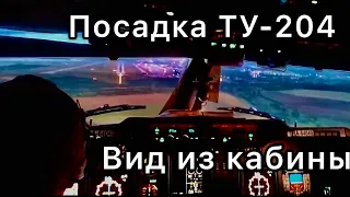 Посадка ТУ-204 где-то в России. Вид из кабины пилотов.