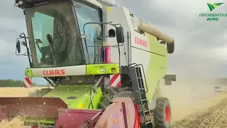 Запуск первого зерноуборочного комбайна CLAAS DOMINATOR 370