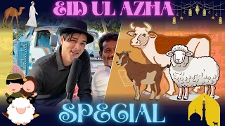 EID UL AZHA SPECIAL | ROAD PHATEEKH | SALMAN SAIF