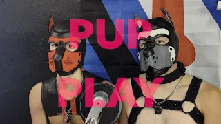 DGPS4E8: Pup Play Promo