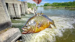 Dropping BIG LIVE BAITS Below A RAGING TUNNEL!!! (Flooded Canal Fishing)