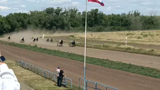 Оренбург.Дерби 15.07 .2023г.Второй гит Гиппогриф 2,00,Спидвей2,05,5Амелия2,05,8