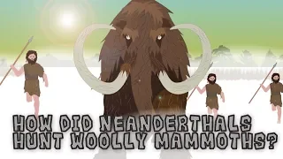 How did Neanderthals Hunt Woolly Mammoths?