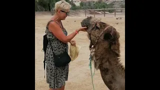 Oasis park. Fuerteventura.