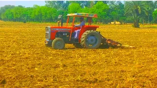 Mf 240 tractor performance on cultivator