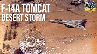 F-14A Tomcat in Desert Storm | Mark Vizcarra (Clip)