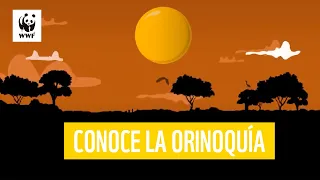 Conoce la Orinoquia y su impresionante diversidad