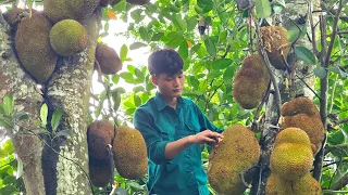 FULL VIDEO: Bamboo Shoots Harvest, White Eggplant, Go To The Market To Sell Ducks