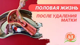 👋​ Половая жизнь после удаления матки